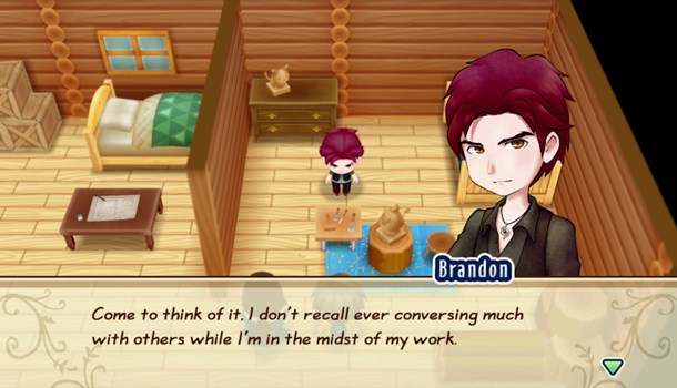 Story of Seasons: Friends of Mineral Town (Switch)